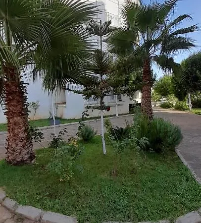 Alanstar Camyolu